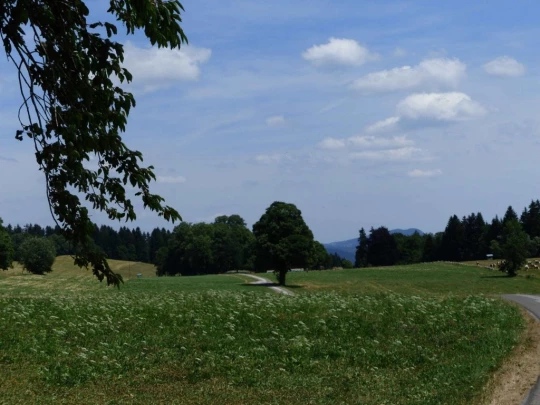 lac-des-tailleres-motiers-150