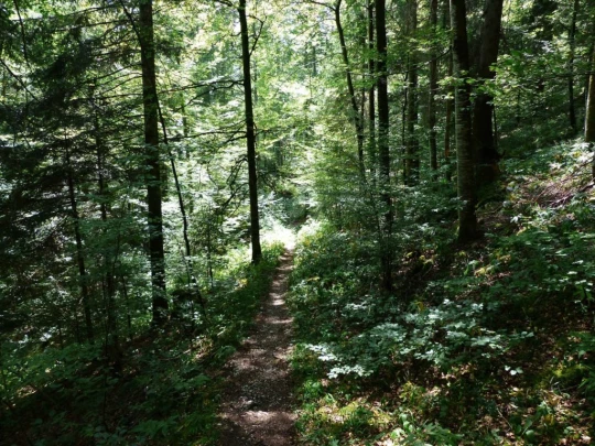 lac-des-tailleres-motiers-153