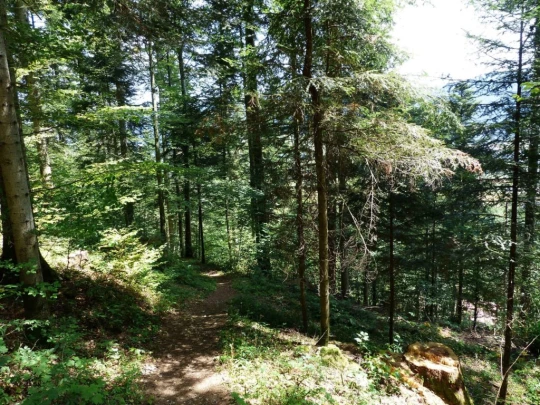 lac-des-tailleres-motiers-155