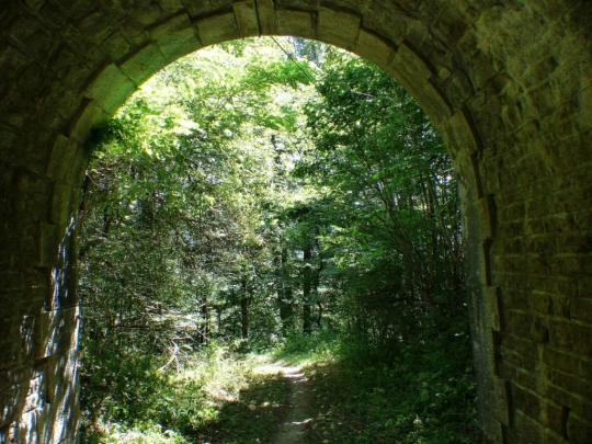 lac-des-tailleres-motiers-157