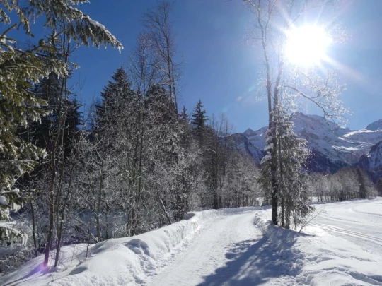 lauenen-lauenen-hiver-101