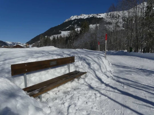 lauenen-lauenen-hiver-102