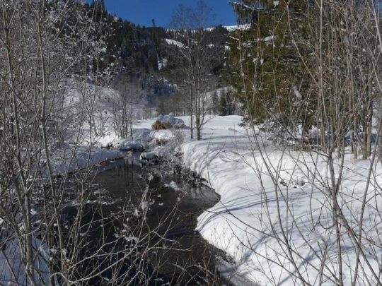 lauenen-lauenen-hiver-106
