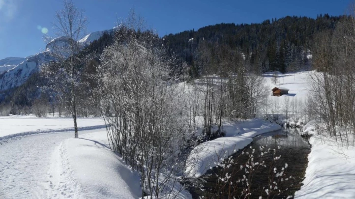 lauenen-lauenen-hiver-109