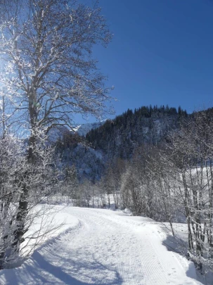 lauenen-lauenen-hiver-110