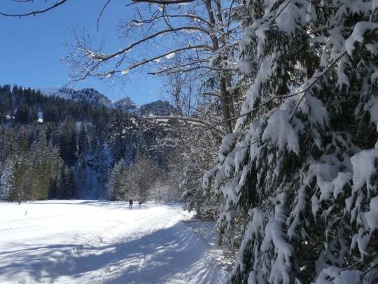 lauenen-lauenen-hiver-113