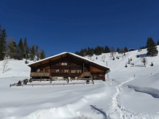 lauenen-lauenen-hiver-120