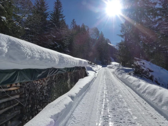 lauenen-lauenen-hiver-121
