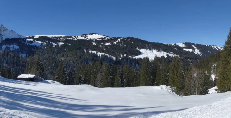 lauenen-lauenen-hiver-122