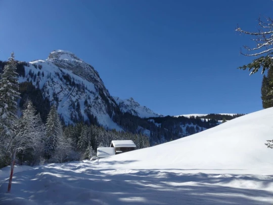 lauenen-lauenen-hiver-125