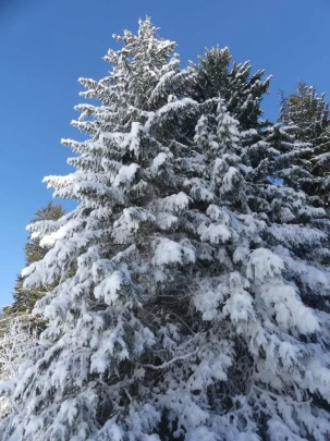 lauenen-lauenen-hiver-132
