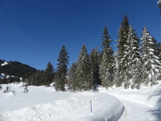 lauenen-lauenen-hiver-133