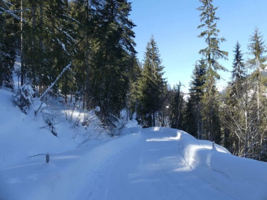 lauenen-lauenen-hiver-150