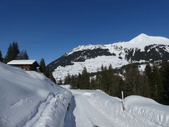 lauenen-lauenen-hiver-151