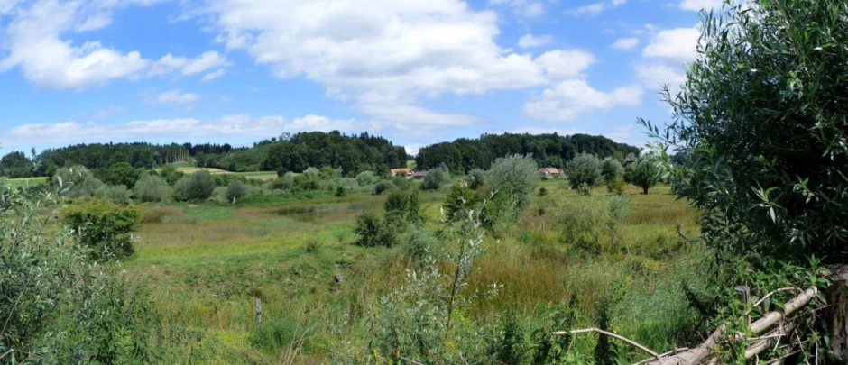 Laupen, Auriedstäg, Eiholz, Hirsried, Sägetwald, Gümmenen, Sarine, Saane