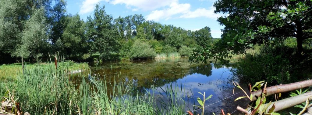 Laupen, Auriedstäg, Eiholz, Hirsried, Sägetwald, Gümmenen, Sarine, Saane