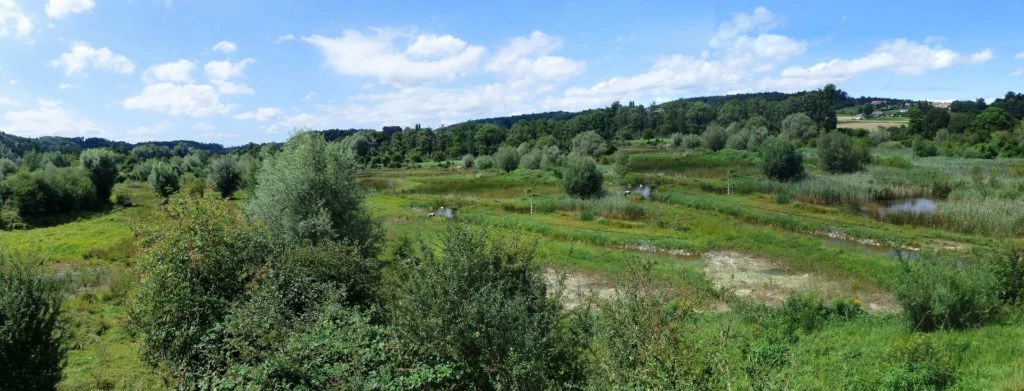 Laupen, Auriedstäg, Eiholz, Hirsried, Sägetwald, Gümmenen, Sarine, Saane