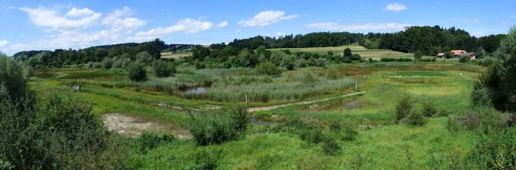 Laupen, Auriedstäg, Eiholz, Hirsried, Sägetwald, Gümmenen, Sarine, Saane