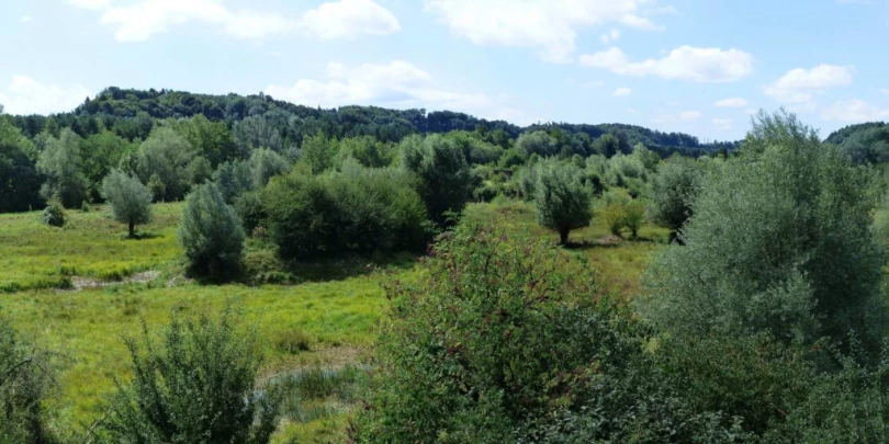 Laupen, Auriedstäg, Eiholz, Hirsried, Sägetwald, Gümmenen, Sarine, Saane