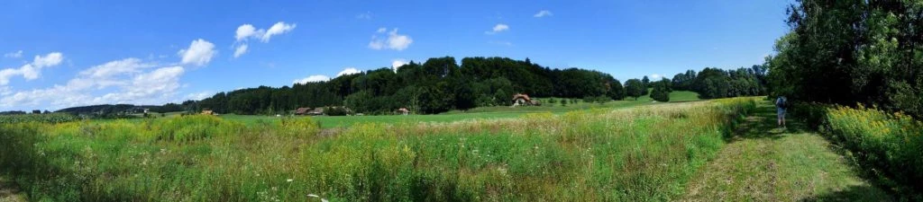 Laupen, Auriedstäg, Eiholz, Hirsried, Sägetwald, Gümmenen, Sarine, Saane