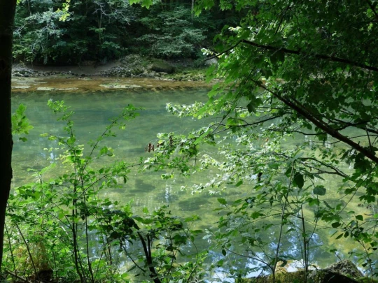 Laupen, Auriedstäg, Eiholz, Hirsried, Sägetwald, Gümmenen, Sarine, Saane