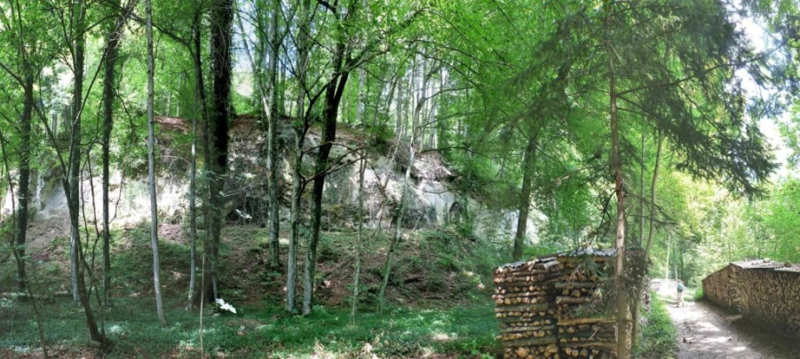 Laupen, Auriedstäg, Eiholz, Hirsried, Sägetwald, Gümmenen, Sarine, Saane