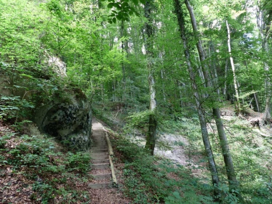 Laupen, Auriedstäg, Eiholz, Hirsried, Sägetwald, Gümmenen, Sarine, Saane