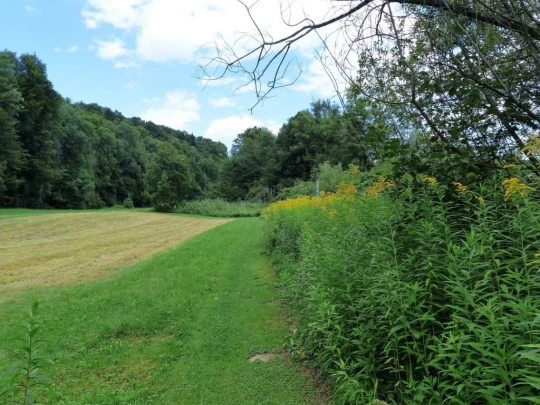 Laupen, Auriedstäg, Eiholz, Hirsried, Sägetwald, Gümmenen, Sarine, Saane