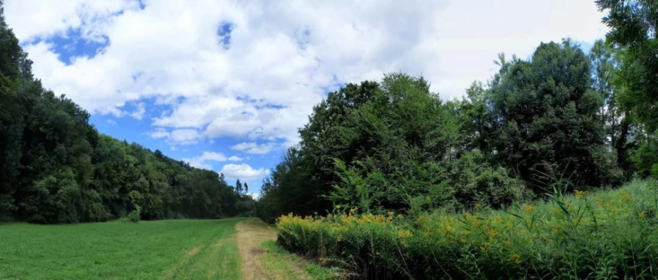 Laupen, Auriedstäg, Eiholz, Hirsried, Sägetwald, Gümmenen, Sarine, Saane