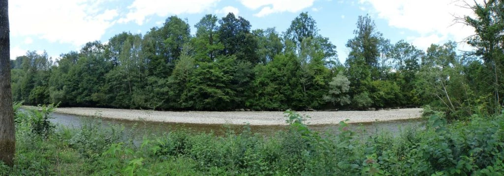 Laupen, Auriedstäg, Eiholz, Hirsried, Sägetwald, Gümmenen, Sarine, Saane