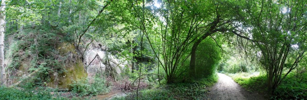 Laupen, Auriedstäg, Eiholz, Hirsried, Sägetwald, Gümmenen, Sarine, Saane