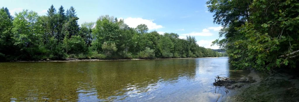 Laupen, Auriedstäg, Eiholz, Hirsried, Sägetwald, Gümmenen, Sarine, Saane