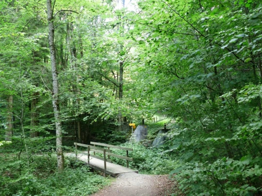 Laupen, Auriedstäg, Eiholz, Hirsried, Sägetwald, Gümmenen, Sarine, Saane