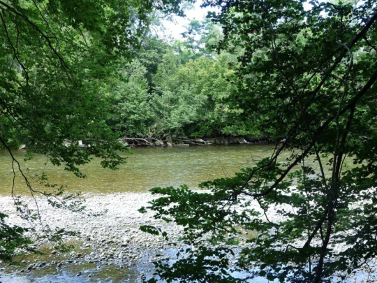 Laupen, Auriedstäg, Eiholz, Hirsried, Sägetwald, Gümmenen, Sarine, Saane