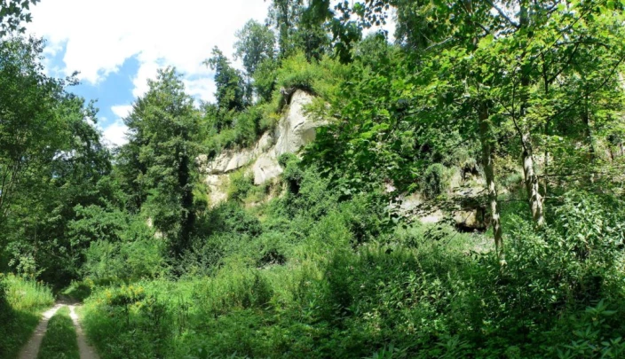 Laupen, Auriedstäg, Eiholz, Hirsried, Sägetwald, Gümmenen, Sarine, Saane