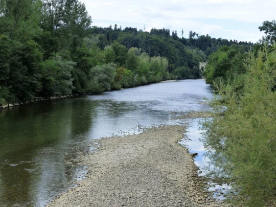 Laupen, Auriedstäg, Eiholz, Hirsried, Sägetwald, Gümmenen, Sarine, Saane