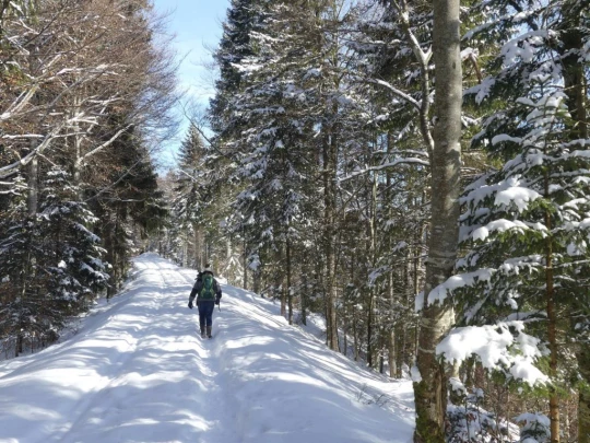 le-lieu-charbonnieres-le-pont-hiver1819-105