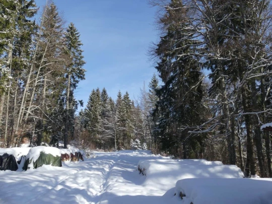 le-lieu-charbonnieres-le-pont-hiver1819-106