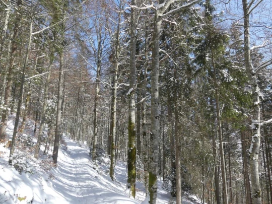 le-lieu-charbonnieres-le-pont-hiver1819-111