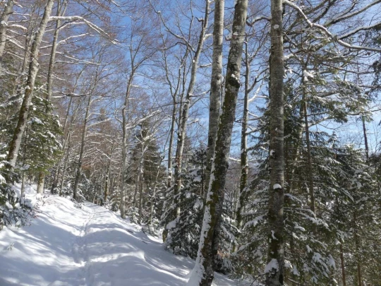le-lieu-charbonnieres-le-pont-hiver1819-113