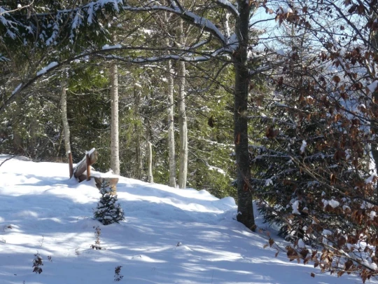 le-lieu-charbonnieres-le-pont-hiver1819-116