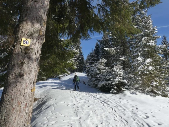 le-lieu-charbonnieres-le-pont-hiver1819-126