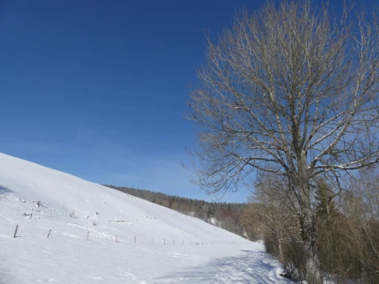 le-lieu-charbonnieres-le-pont-hiver1819-148