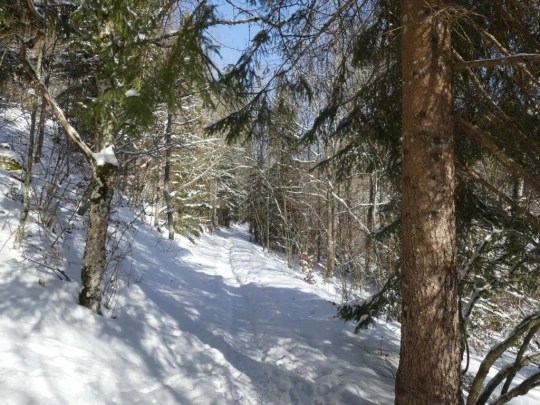 le-lieu-charbonnieres-le-pont-hiver1819-156