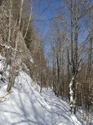 le-lieu-charbonnieres-le-pont-hiver1819-157