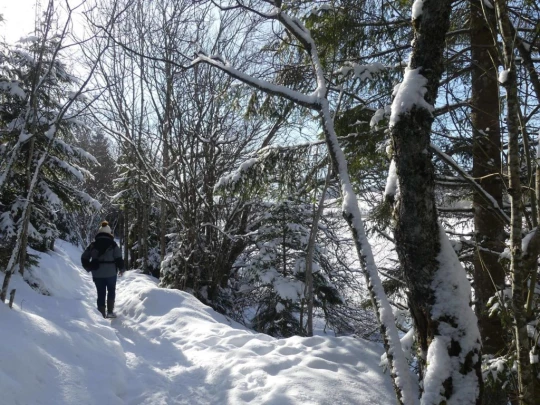 le-lieu-charbonnieres-le-pont-hiver1819-165