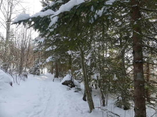 le-lieu-charbonnieres-le-pont-hiver1819-169