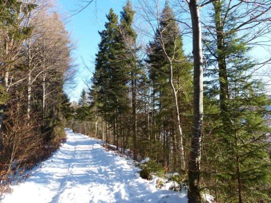 le-lieu-le-pont-l-abbaye-102