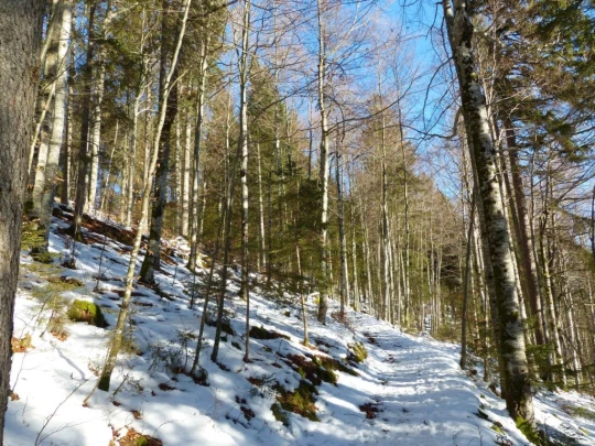 le-lieu-le-pont-l-abbaye-104