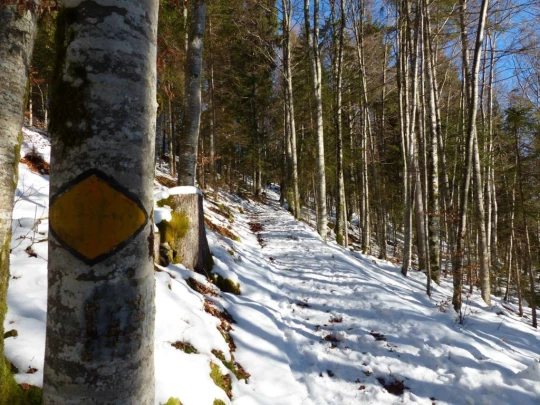 le-lieu-le-pont-l-abbaye-105